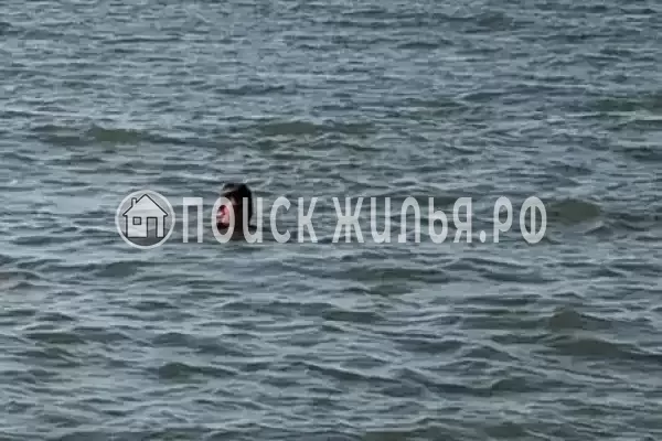 Частный сектор «Быть добру», Ильич Частный сектор «Быть добру», Ильич