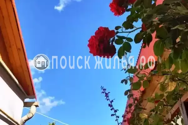 «Алита», Кучугуры «Алита», Кучугуры