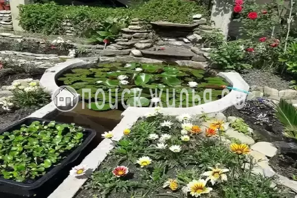 «Сильва», Вардане