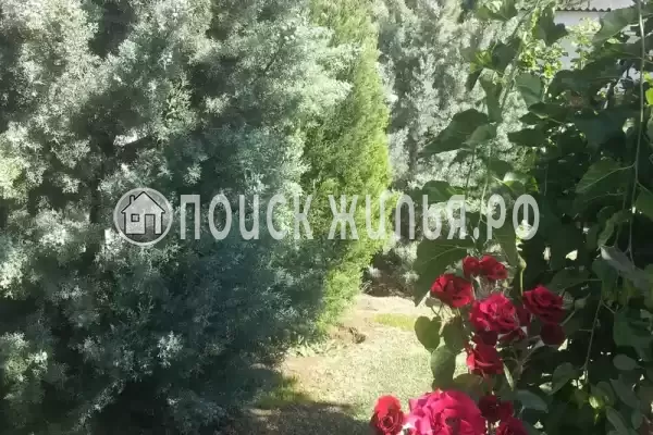 «Aннушка», Заозерное