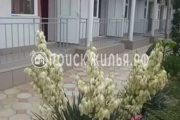 «Aннушка», Заозерное