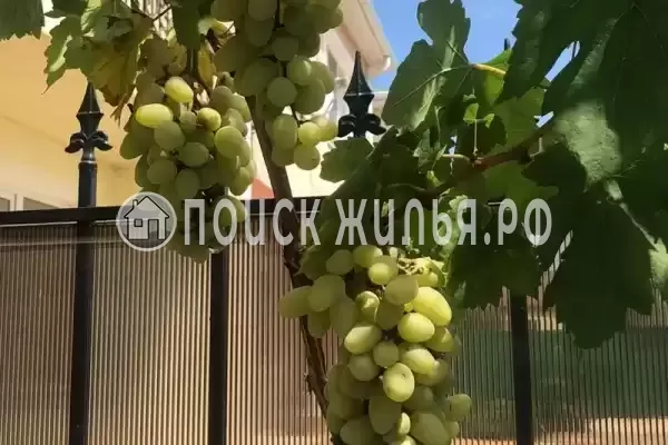 Частный сектор «Комната под ключ», Джемете Частный сектор «Комната под ключ», Джемете