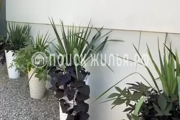 «Casa de la Lus», Архипо-Осиповка