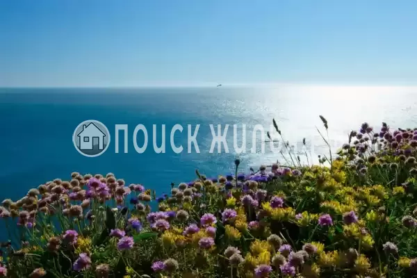 «Арника», Анапа