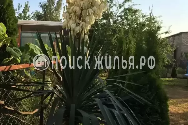 «Южная 8», Витязево