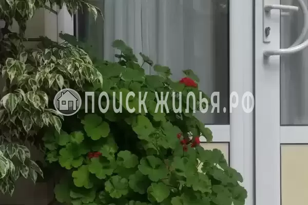 «Elpida», Анапа