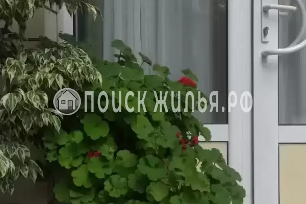 «Elpida», Анапа