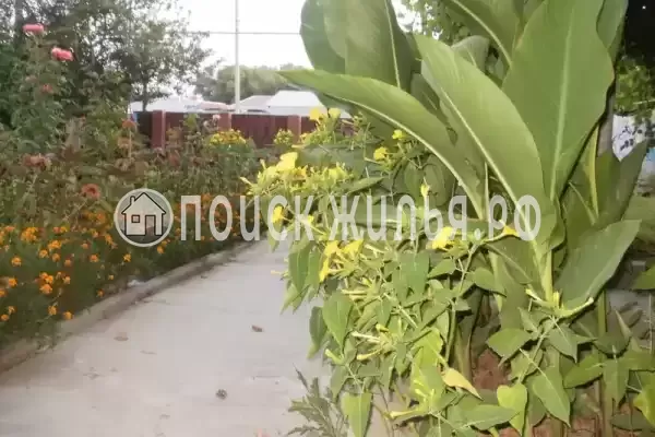 Частный сектор «Частное домовладение Берег», Кучугуры