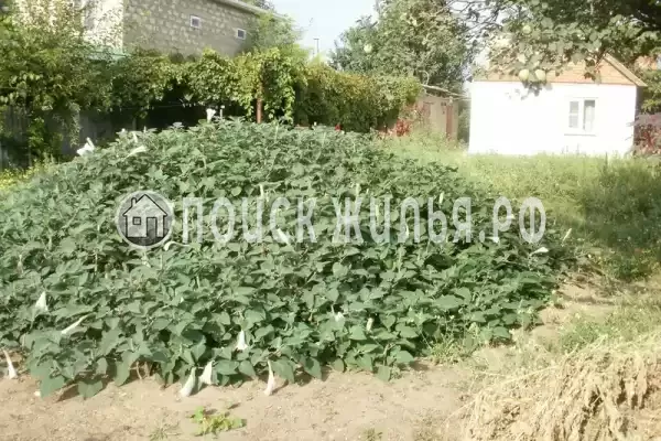 Частный сектор «Частное домовладение Берег», Кучугуры