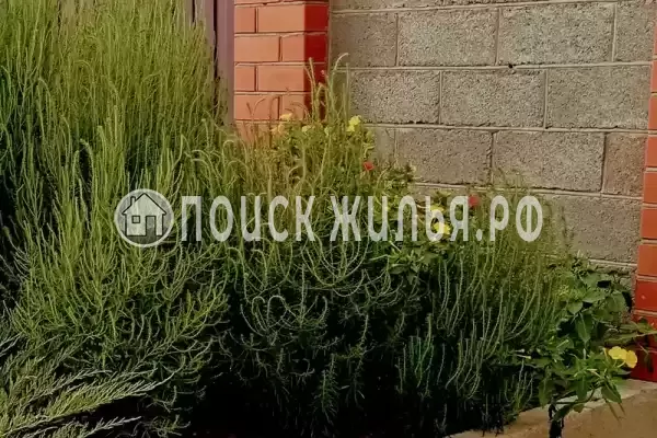 Частный сектор «Частное домовладение Берег», Кучугуры