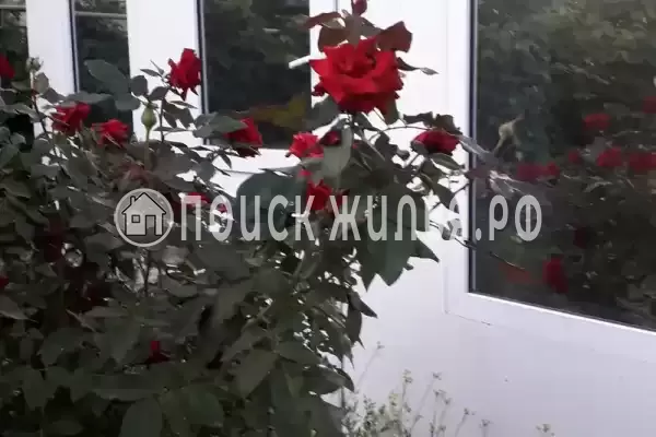 Частный сектор «Частное домовладение Берег», Кучугуры