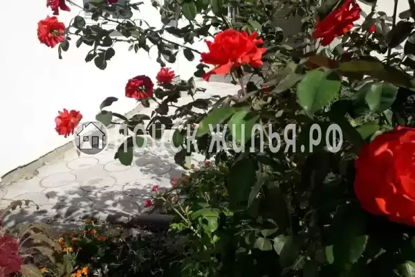 Частный сектор «Частное домовладение Берег», Кучугуры