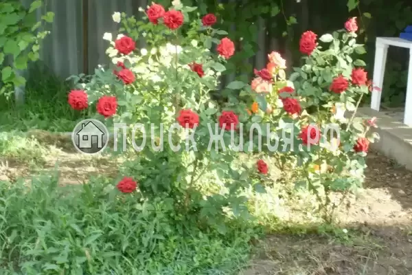 Частный сектор «Частное домовладение Берег», Кучугуры