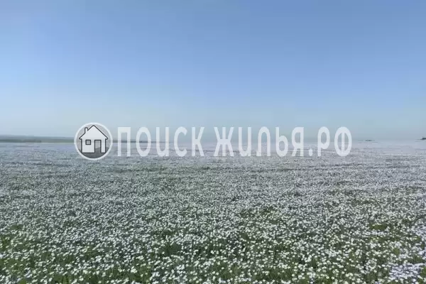 «Вояж», Кучугуры