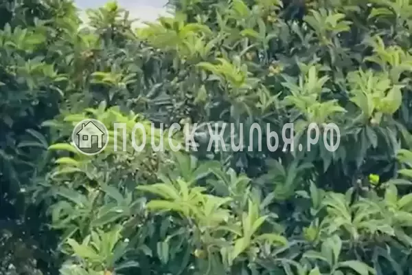 Частный сектор «У Анджелы», Гагра