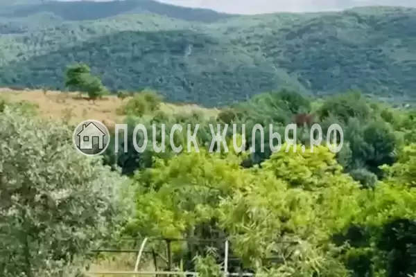 Частный сектор «У Анджелы», Гагра