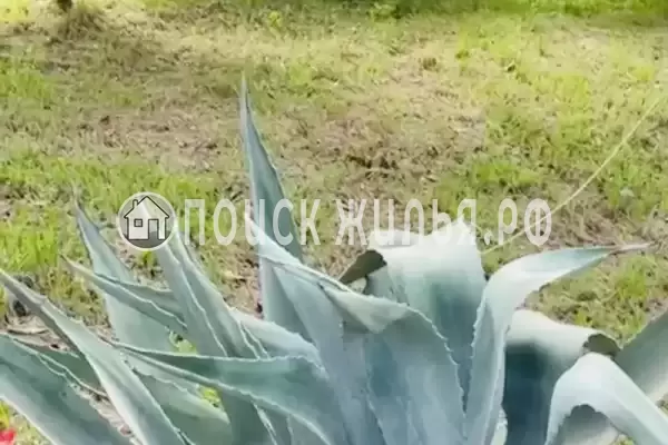 Частный сектор «У Анджелы», Гагра