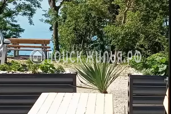 «Лайнер», Джубга