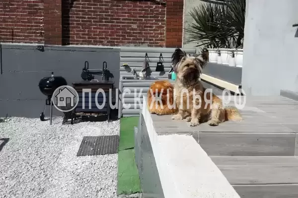 «Лайнер», Джубга