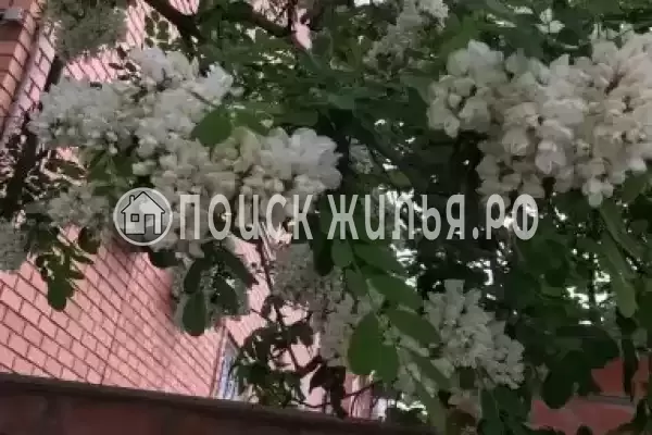 «Горница на Янтарной», Геленджик