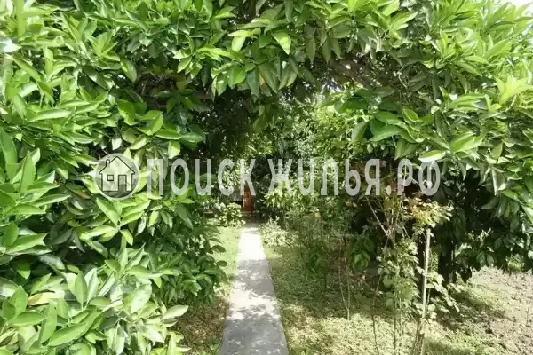 Гостевой дом «На Речной 45», Пицунда