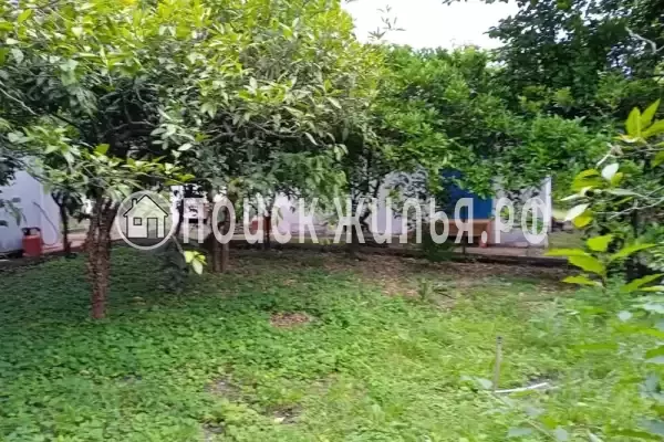 Частный сектор «Дионис», Пицунда