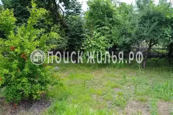 Частный сектор «Дионис», Пицунда