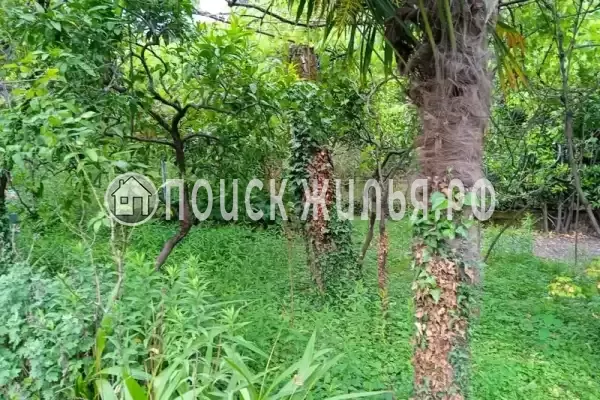 Частный сектор «Дионис», Пицунда