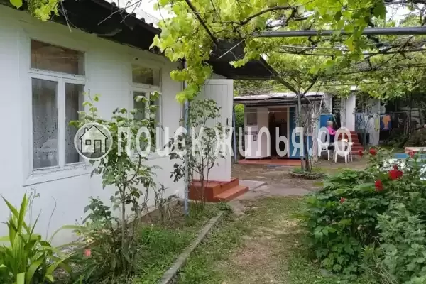 Частный сектор «Дионис», Пицунда