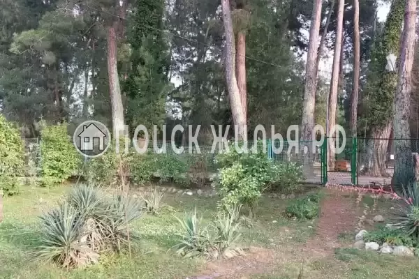 Частный сектор «Дионис», Пицунда