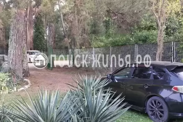 Частный сектор «Дионис», Пицунда