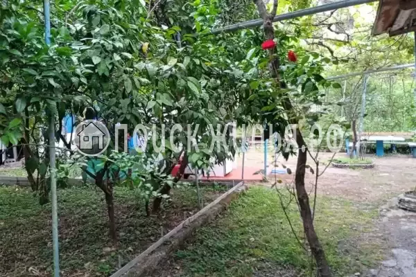 Частный сектор «Дионис», Пицунда