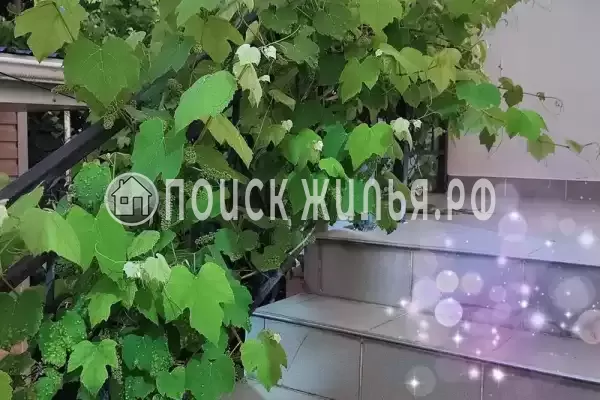 «У Егора», Краснодарский край, Джубга, Калинина, д.3 «А»