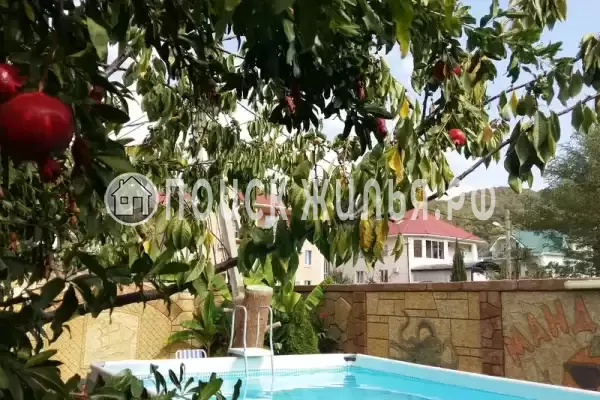 «Mандарин», Лазаревское