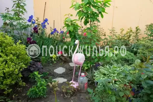 «Чайка», Анапа