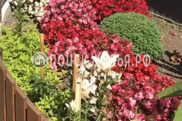 Частный сектор «Марина», Пицунда