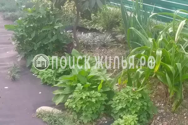 «На Магистральной», Чемитоквадже