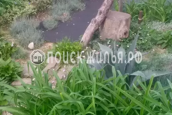 «На Магистральной», Чемитоквадже