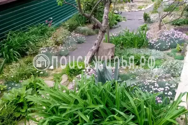 «На Магистральной», Чемитоквадже