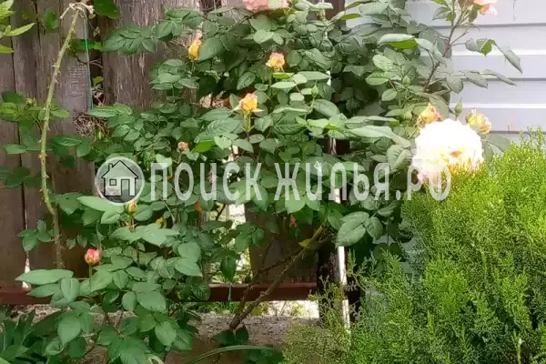 «На Магистральной», Чемитоквадже