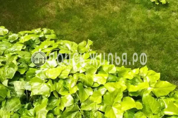 Частный сектор «На Звёздной», Геленджик