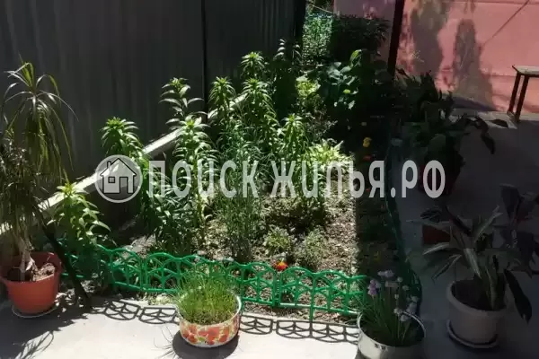 «На Симферопольской», Головинка