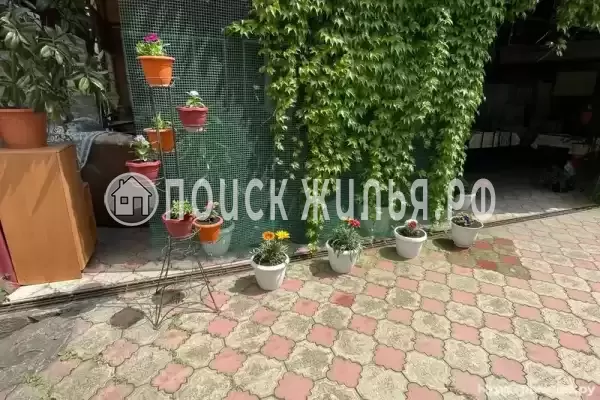 «Аннушка», Ольгинка