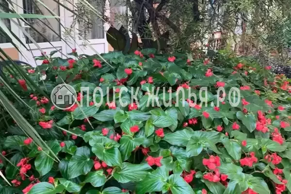 «У Ирина», Адлер «У Ирина», Адлер