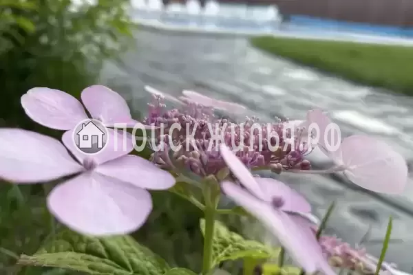 Гостевой дом «ЭлеОн Хаус», Кабардинка Гостевой дом «ЭлеОн Хаус», Кабардинка