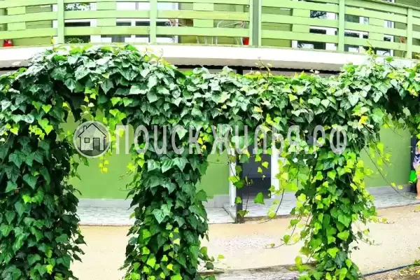 Частный сектор «Kulikov House», Амзара