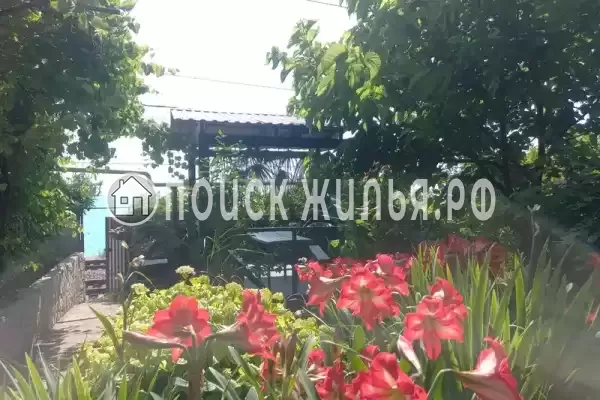 «На Победе», Лазаревское