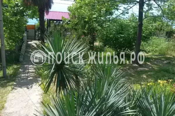 «На Победе», Лазаревское