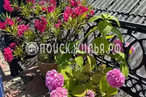 «Рассвет у моря», Лазаревское