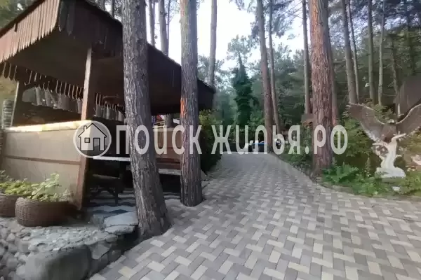 «Сосновый бор», Лазаревское